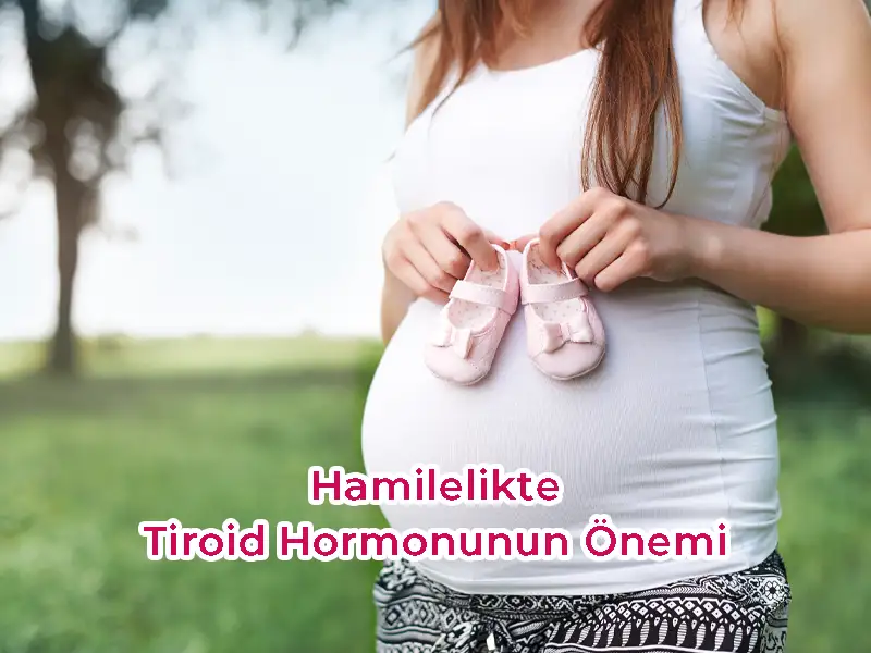 Hamilelikte Tiroid Hormonunun Önemi